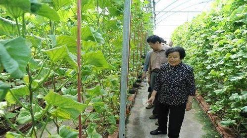 娛樂(lè )圈吃瓜代號蜜蜂是誰(shuí),娛樂(lè )圈神秘吃瓜者的真實(shí)身份揭秘