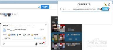 黑料網(wǎng)永久免費網(wǎng)站直接進(jìn)入網(wǎng)頁(yè),暢游網(wǎng)絡(luò )世界的秘密通道