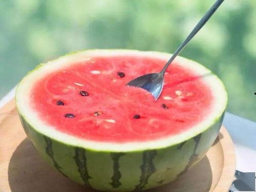 吃瓜網(wǎng)官網(wǎng)免費觀(guān)看